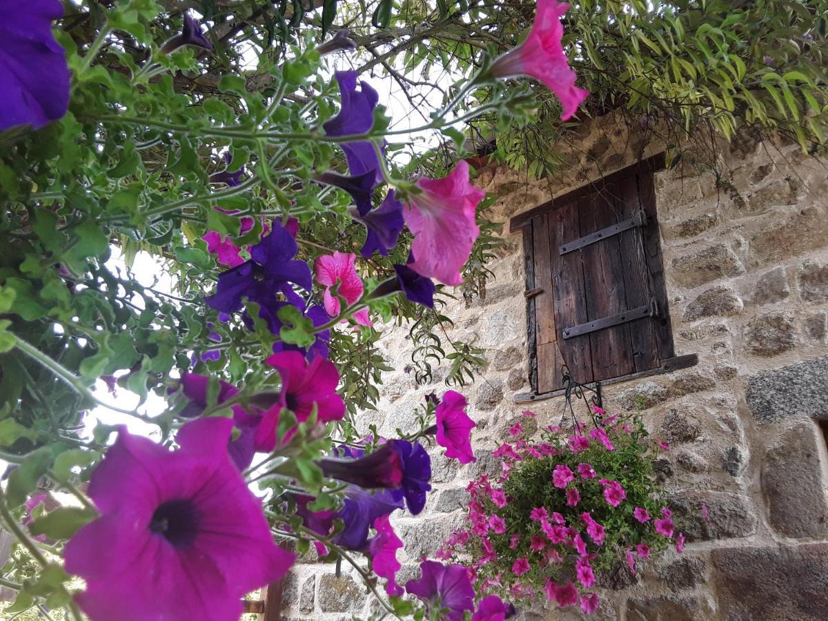 La Belle Ame Bed and Breakfast Saint-Priest-des-Champs Εξωτερικό φωτογραφία