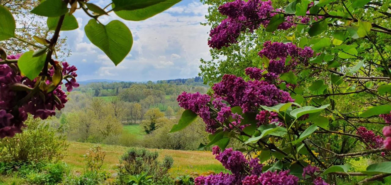 La Belle Ame Bed and Breakfast Saint-Priest-des-Champs Εξωτερικό φωτογραφία